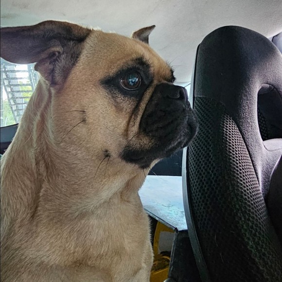 Meet your Posher, Emmelu - Picture 1 of 1